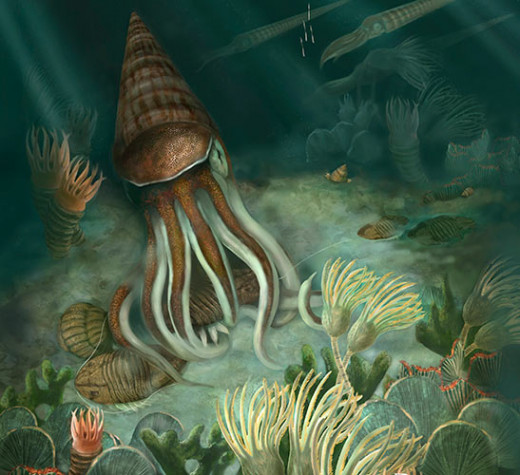 Ordovician Extinction