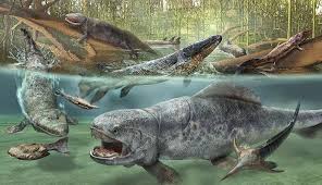 Devonian Extinction