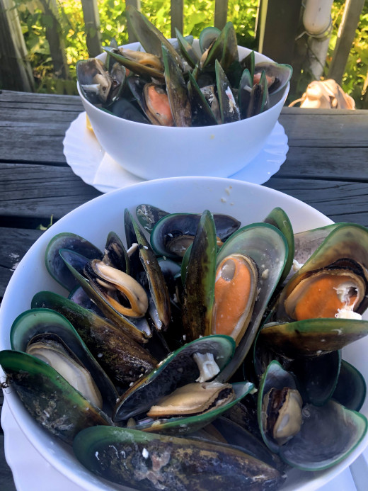 1 kilo plate of mussels each at Havelock