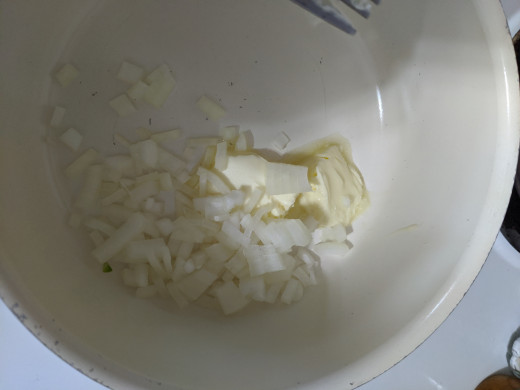 Onion in butter in saucepan