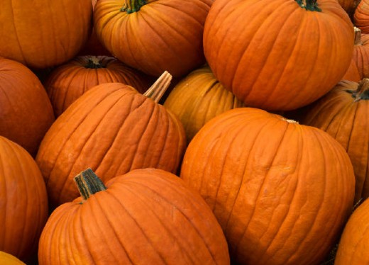 Pick out pie pumpkins for softer pumpkins to carve; they are smaller too