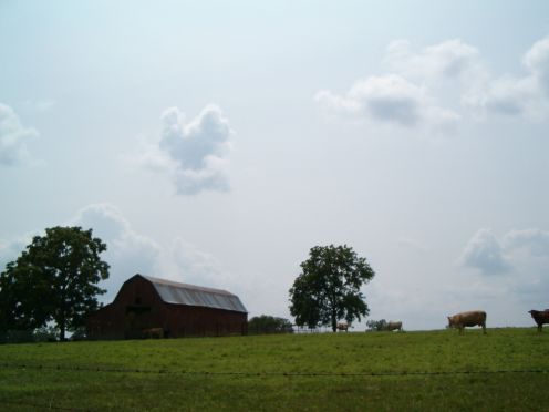 Barn.... off in the distance on a hill.  So peaceful a view to me.