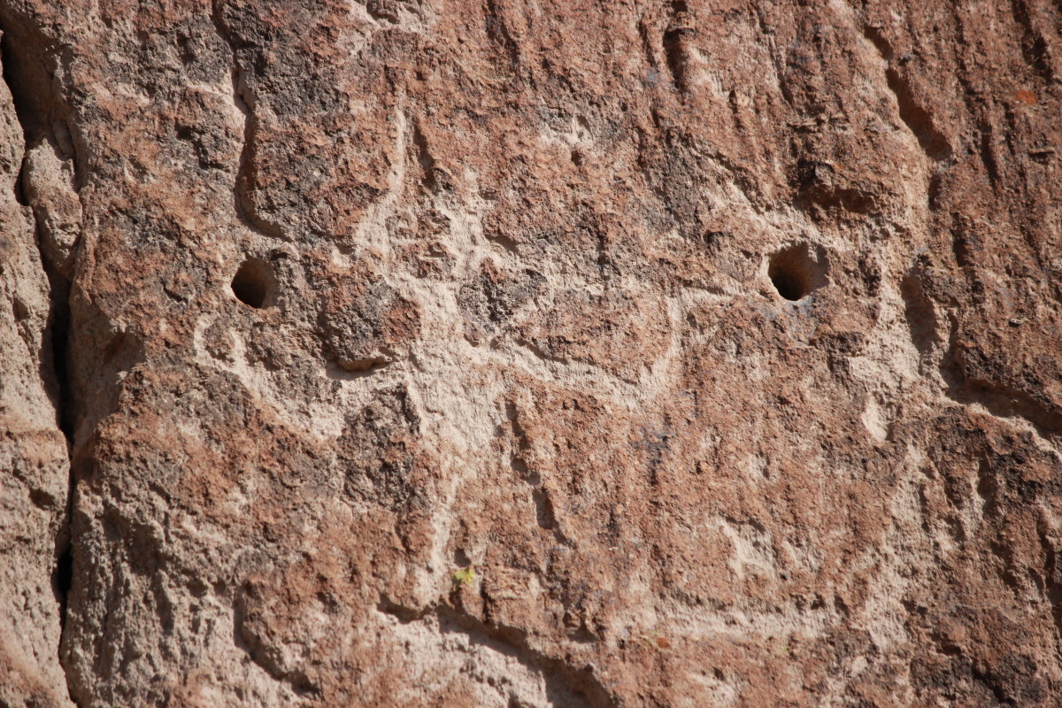Petroglyphs at Bandelier National Monument.  Some of the glyphs have an alien quality.