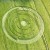 Plain Crop Circle Plain Crop Circle