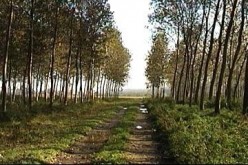 Testimony: How I overcame my panic attacks