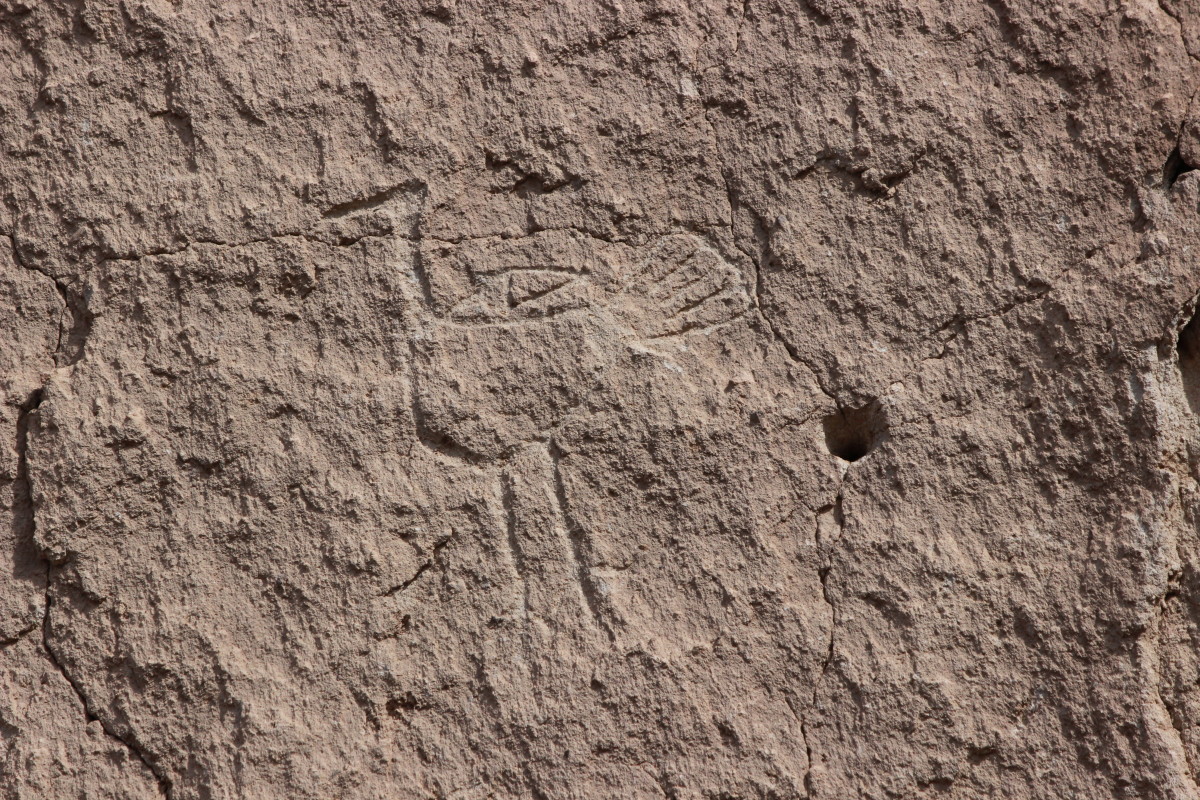Birds are a common petroglyph theme at most petroglyph sites.