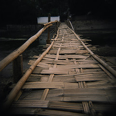 Bamboo bridge