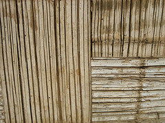 Bamboo walls