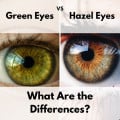 6 Rare and Unique Eye Colors | Owlcation