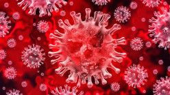 An Islamic Perspective: What I understand about the Coronavirus