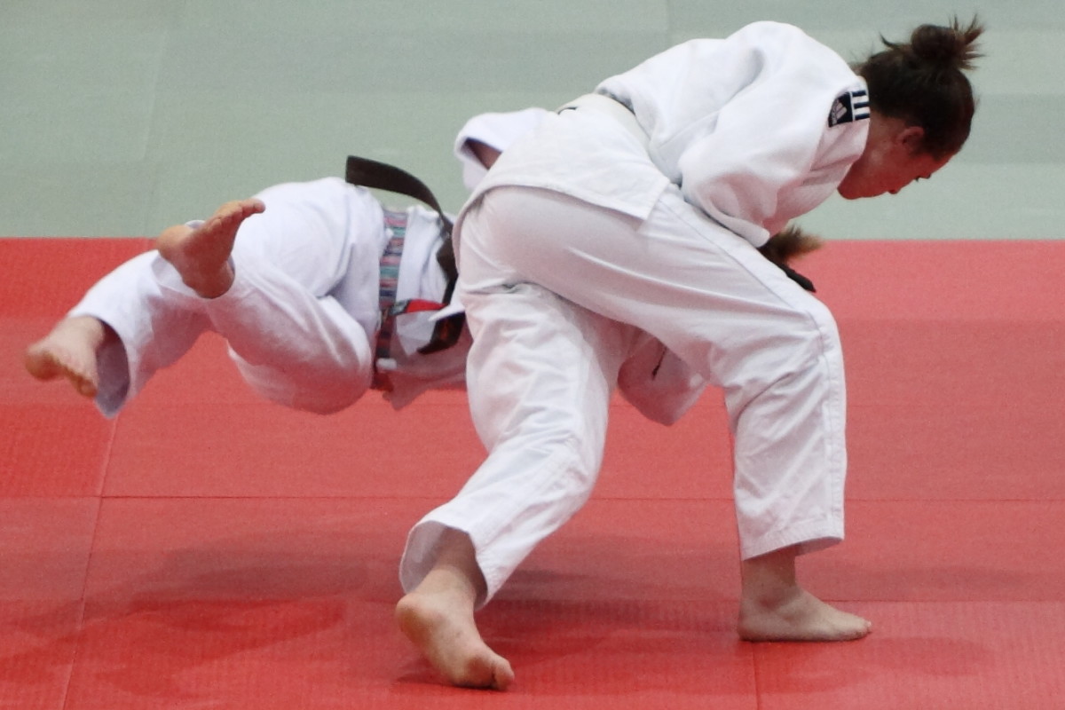 Martial Arts Similar to Judo HowTheyPlay