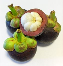 Image courtesy of Wikipedia