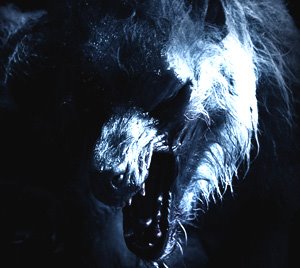 Scary Lycan werewolf head photo.