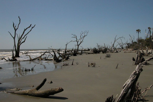 South Carolina Barrier Islands