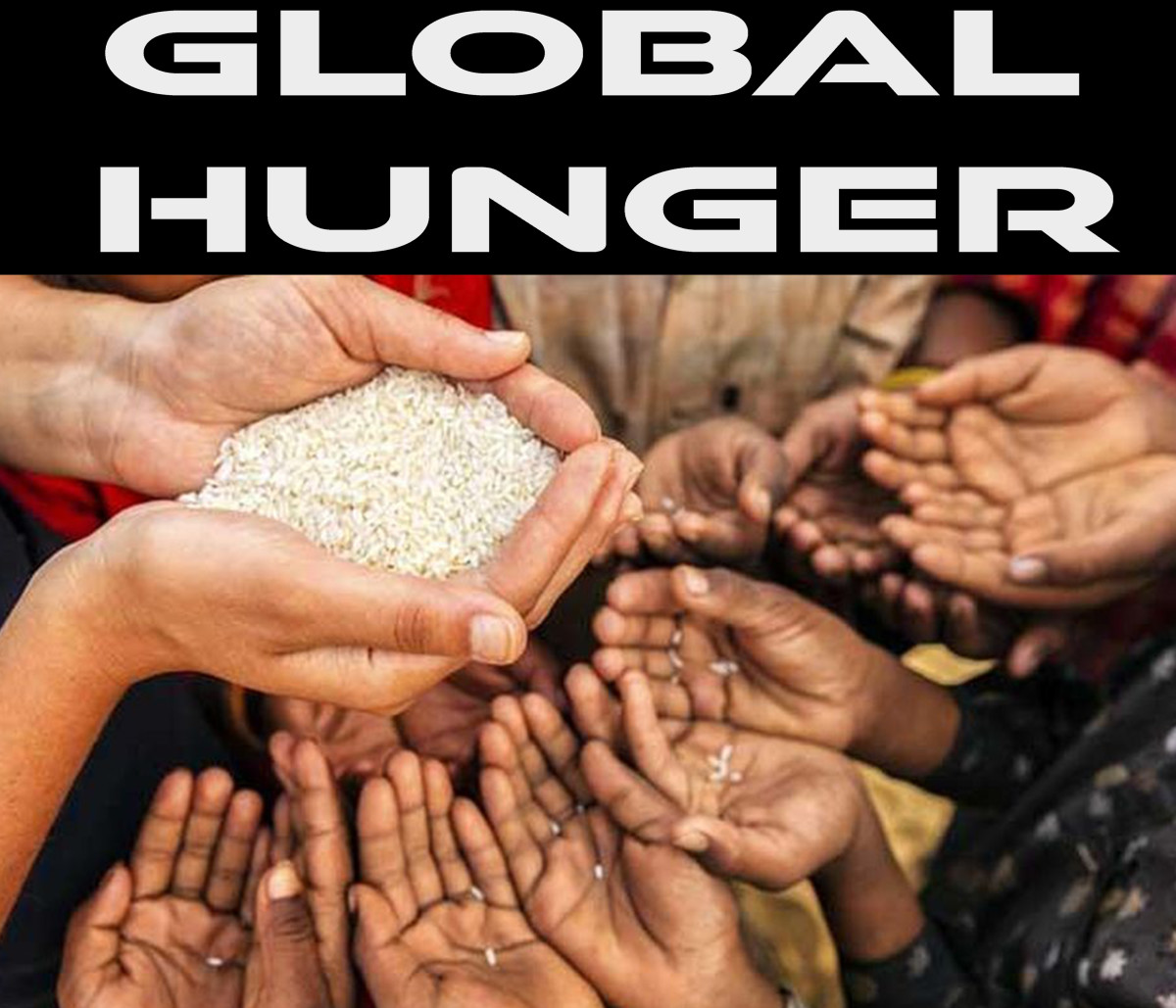 Global Hunger HubPages