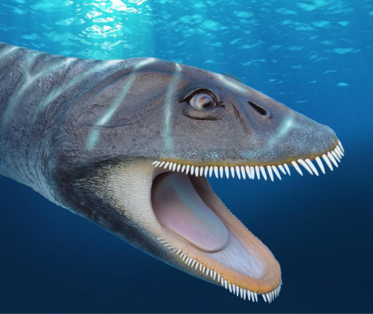 plesiosaurus