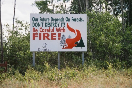 I found this add to be strange since the company that put it up (Domtar) is cutting trees in northern Ontario constantly. Indeed they depend on the forest because they turn them into bills.