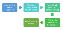 Public Health Surveillance: How Does it Work?