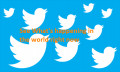 Twitter Has Quietly Deleted Millions of Accounts Since the Old Sms Era