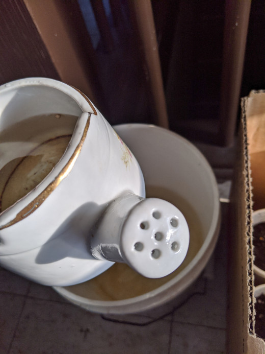 A watering can to dribble on each pot