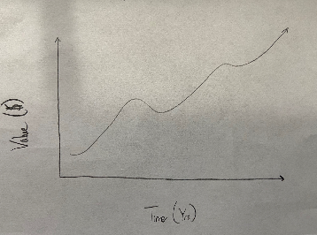 A theoretical model of a companies value over time.