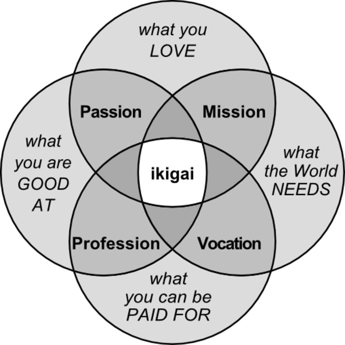 Main Components of IKIGAI