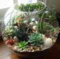 Stuck at Home? Fun, Creative, Educational Activities For Kids