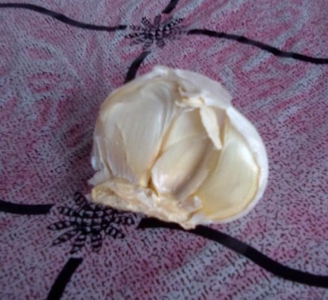 Garlic with half of its cloves still intact