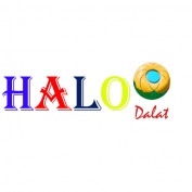 halodalat profile image