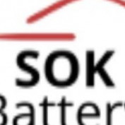 SOKbattery profile image