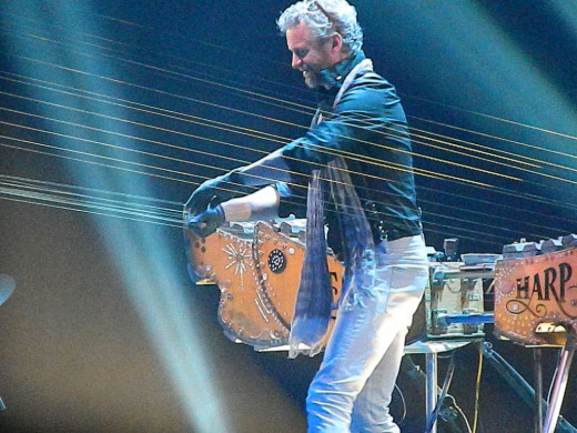 Earth Harp has appeared at SDC  before. Will we get to see other acts such as these in 2020?