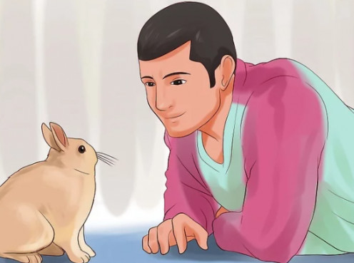 Bunnies Need Your One-On-One Attention