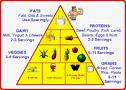 Maintain A Balanced Diet