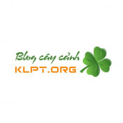 klptblog profile image