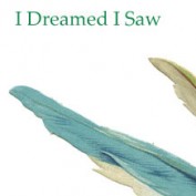 idreamedisaw profile image