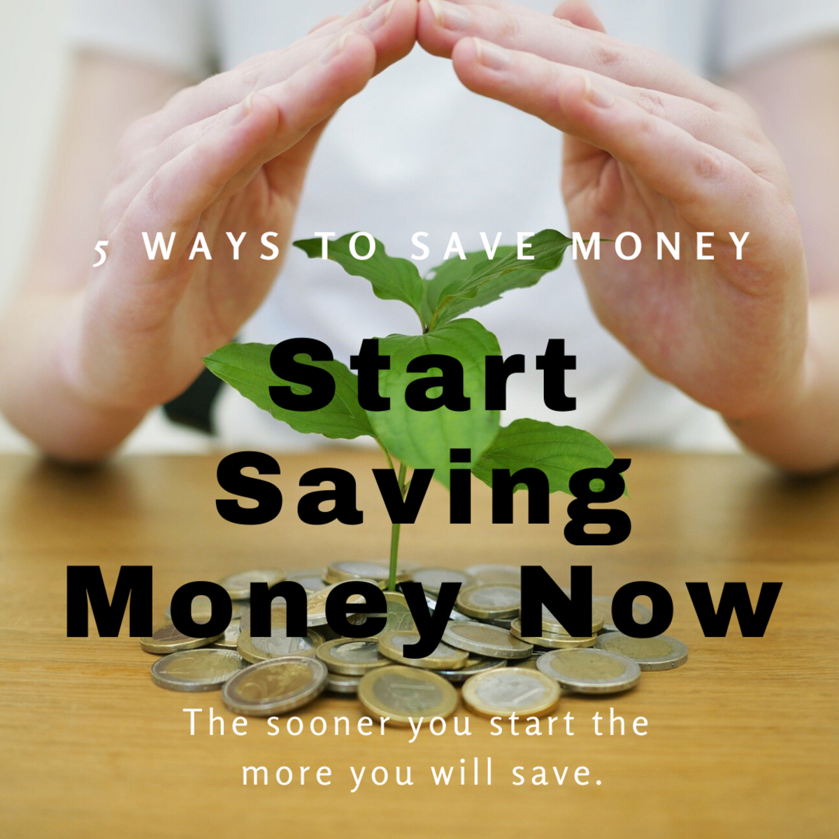 example essay how to save money