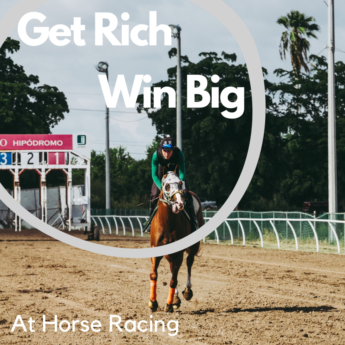 Tips on How to Win Money at Horse Racing