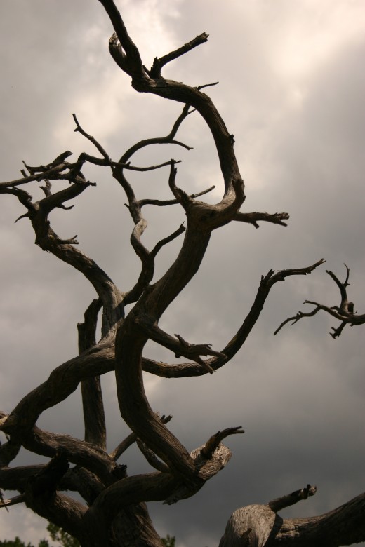 ugly and dead