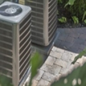 inrattpraw61 profile image