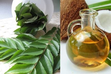 Curry leaves combined with coconut oil.