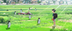 10 Reasons Why You Should Watch Penguin Highway