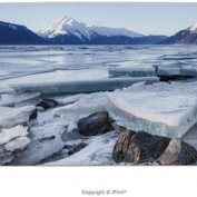 zamar028 profile image