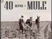 40 acres And a Mule