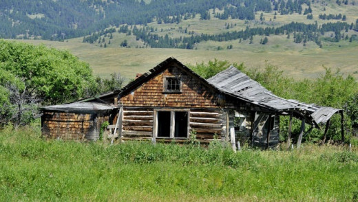 Bertie Brown's Cabin