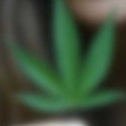 lossangel profile image