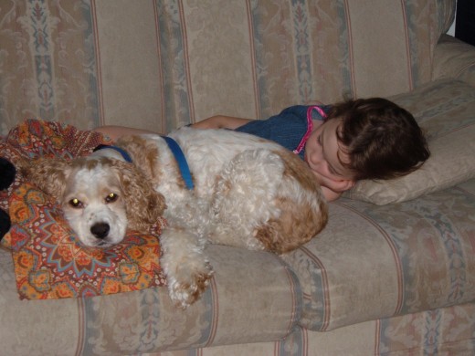 They are finally asleep -- well, almost. They are finally asleep -- well, almost.
