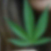 christinerose1 profile image