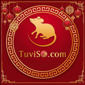 tuviso profile image