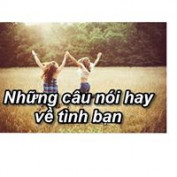 NhungcaunoihayVetinhban profile image