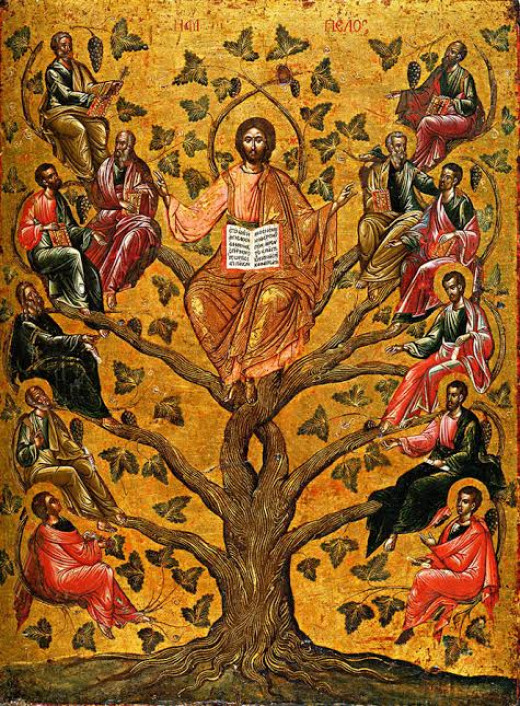 Grafted to Him for a Purpose | HubPages